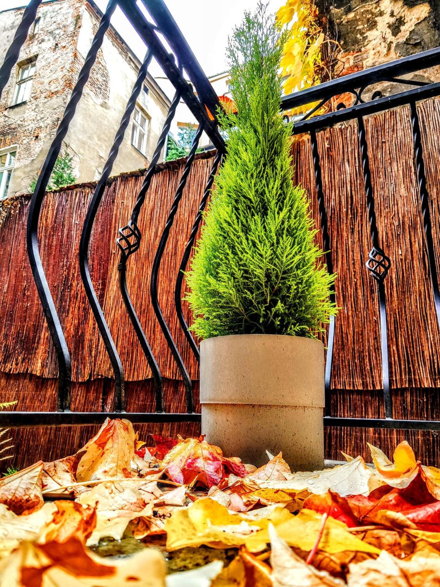 Z-1 Krakow Old Town O&P Apartfamily Kültér fotó